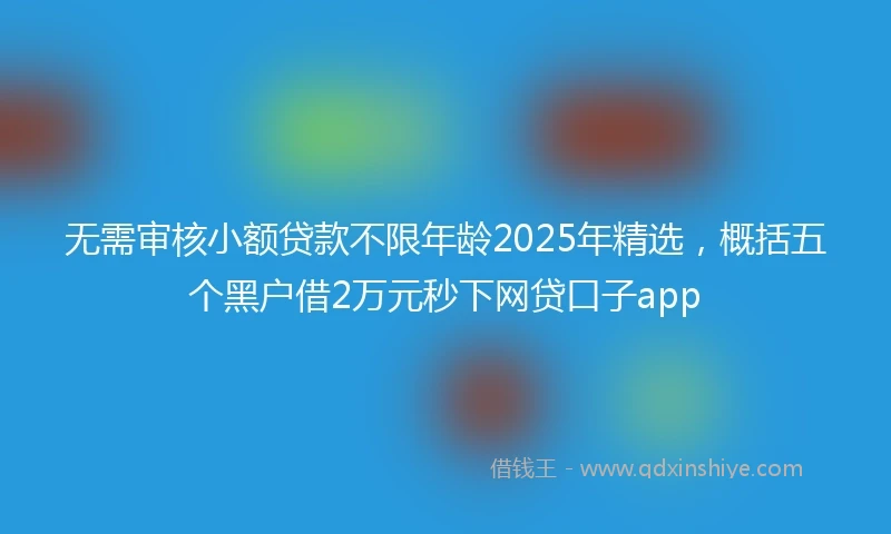 无需审核小额贷款不限年龄2025年精选，概括五个黑户借2万元秒下网贷口子app