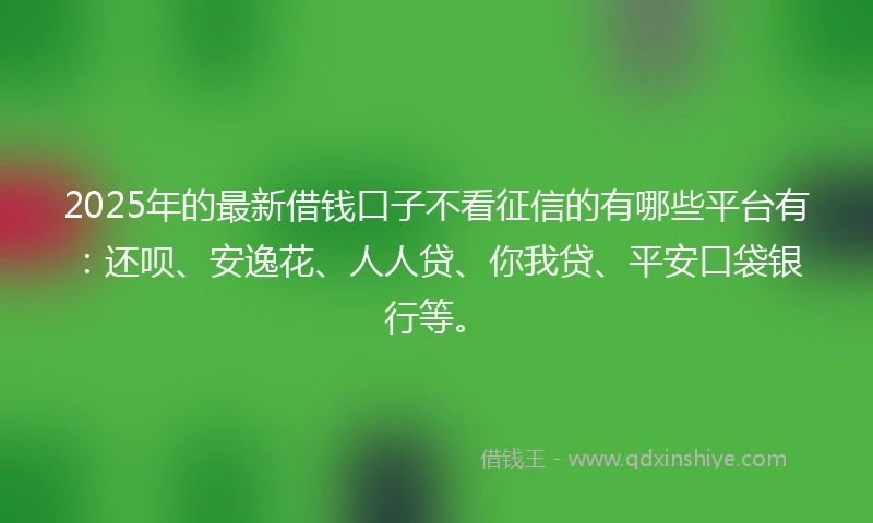 2025年的最新借钱口子不看征信的有哪些平台有：还呗、安逸花、人人贷、你我贷、平安口袋银行等。