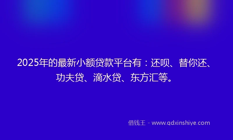 2025年的最新小额贷款平台有：还呗、替你还、功夫贷、滴水贷、东方汇等。