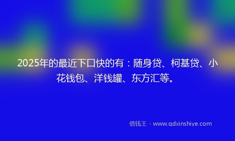 2025年的最近下口快的有：随身贷、柯基贷、小花钱包、洋钱罐、东方汇等。