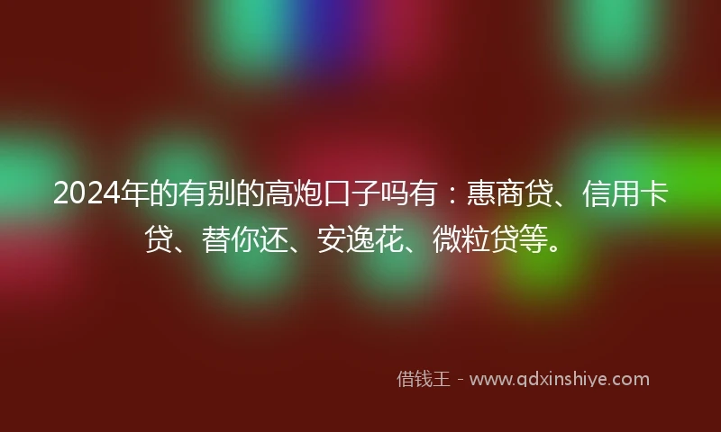 2024年的有别的高炮口子吗有：惠商贷、信用卡贷、替你还、安逸花、微粒贷等。