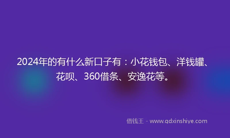 2024年的有什么新口子有：小花钱包、洋钱罐、花呗、360借条、安逸花等。