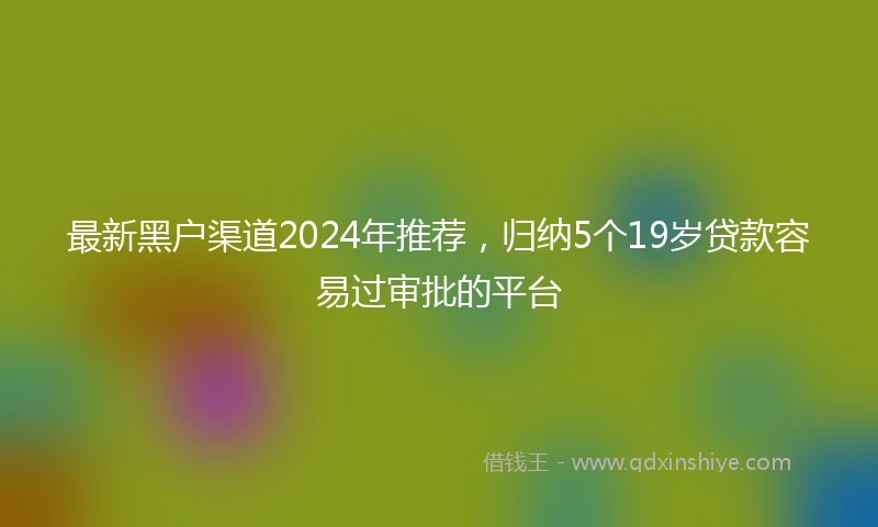 最新黑户渠道2024年推荐，归纳5个19岁贷款容易过审批的平台