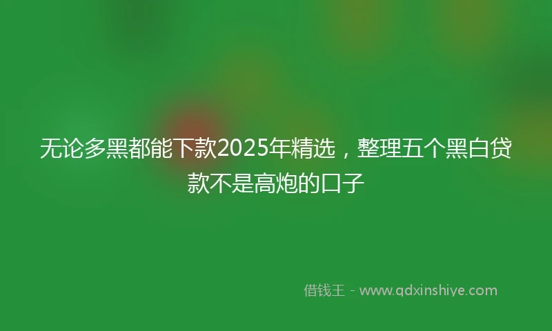 无论多黑都能下款2025年精选，整理五个黑白贷款不是高炮的口子