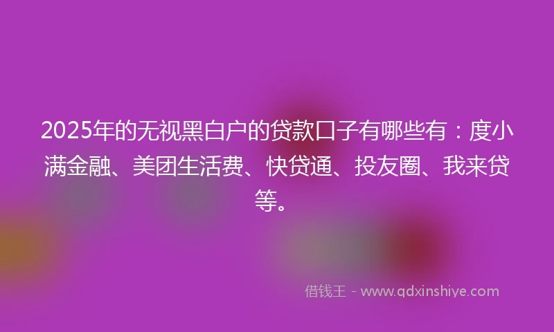2025年的无视黑白户的贷款口子有哪些有：度小满金融、美团生活费、快贷通、投友圈、我来贷等。