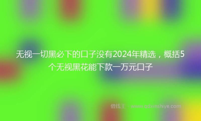 无视一切黑必下的口子没有2024年精选，概括5个无视黑花能下款一万元口子