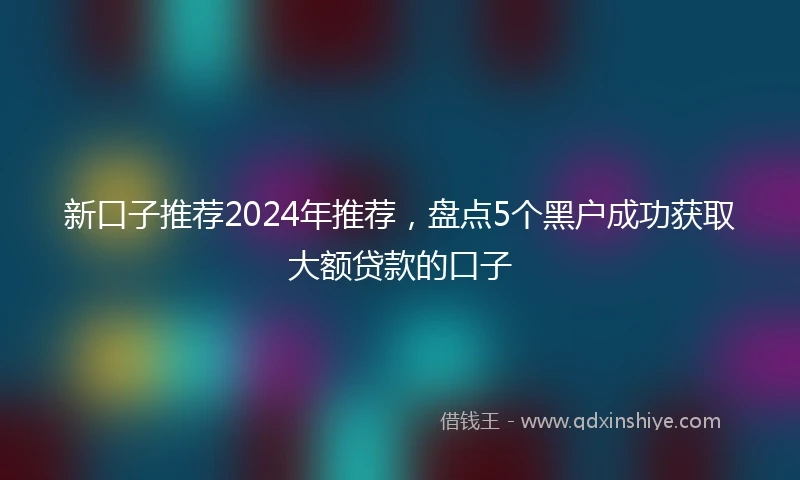 新口子推荐2024年推荐，盘点5个黑户成功获取大额贷款的口子