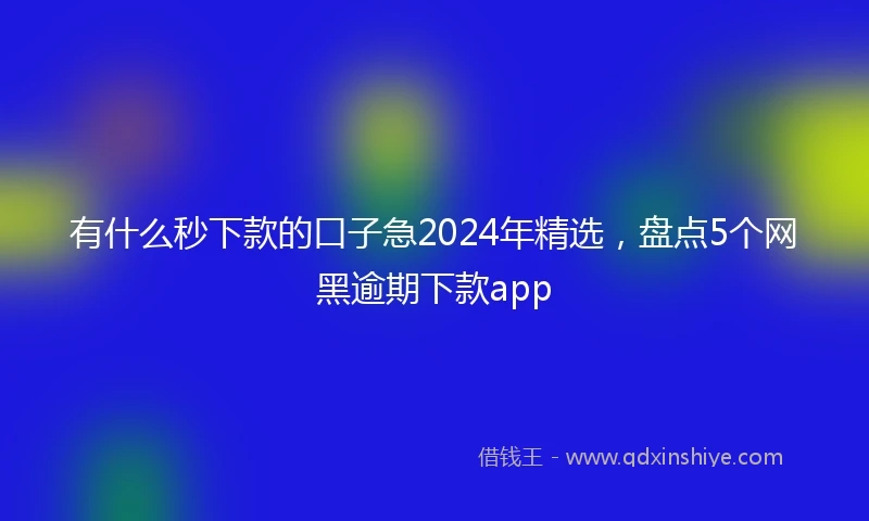 有什么秒下款的口子急2024年精选，盘点5个网黑逾期下款app