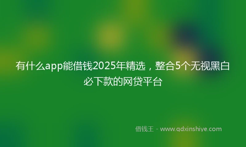 有什么app能借钱2025年精选,整合5个无视黑白必下款的网贷平台