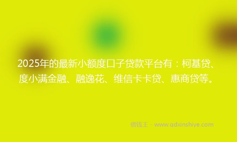 2025年的最新小额度口子贷款平台有：柯基贷、度小满金融、融逸花、维信卡卡贷、惠商贷等。