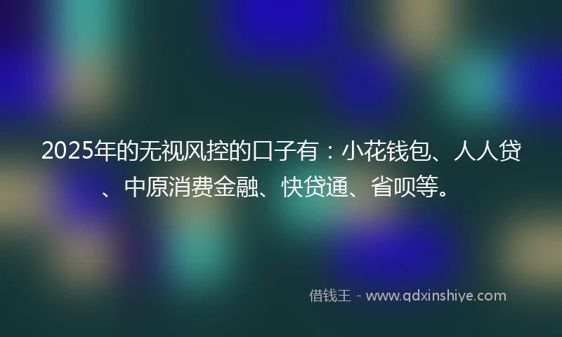 2025年的无视风控的口子有：小花钱包、人人贷、中原消费金融、快贷通、省呗等。