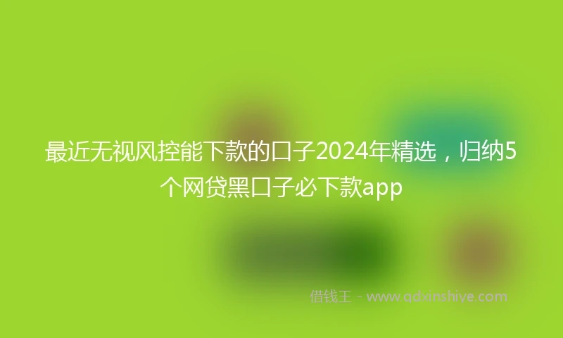 最近无视风控能下款的口子2024年精选，归纳5个网贷黑口子必下款app