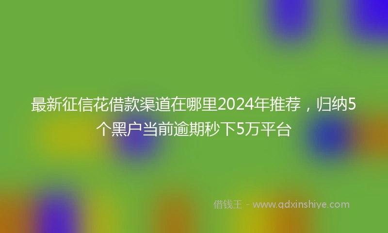 最新征信花借款渠道在哪里2024年推荐，归纳5个黑户当前逾期秒下5万平台