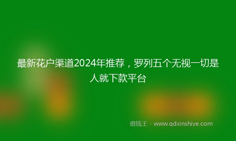 最新花户渠道2024年推荐，罗列五个无视一切是人就下款平台