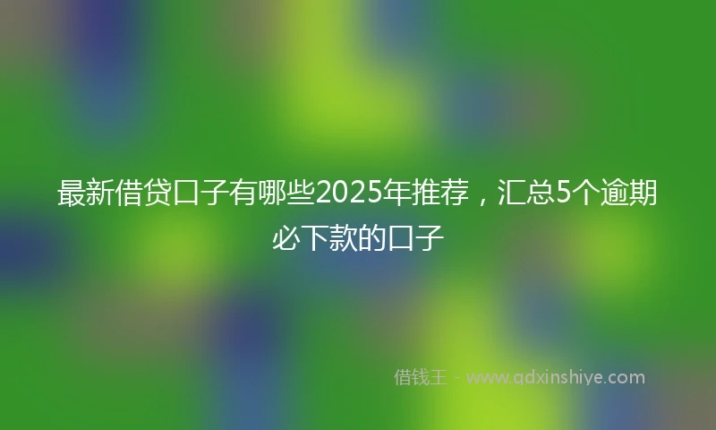 最新借贷口子有哪些2025年推荐，汇总5个逾期必下款的口子