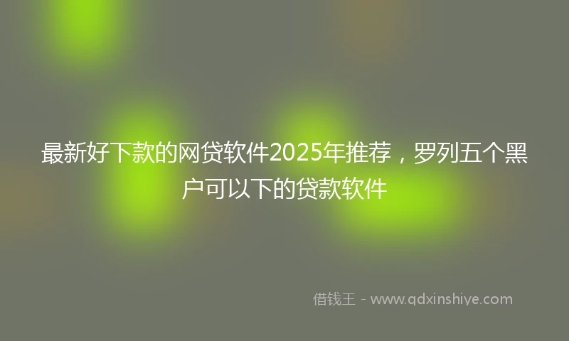 最新好下款的网贷软件2025年推荐，罗列五个黑户可以下的贷款软件