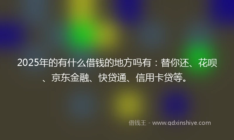 2025年的有什么借钱的地方吗有：替你还、花呗、京东金融、快贷通、信用卡贷等。