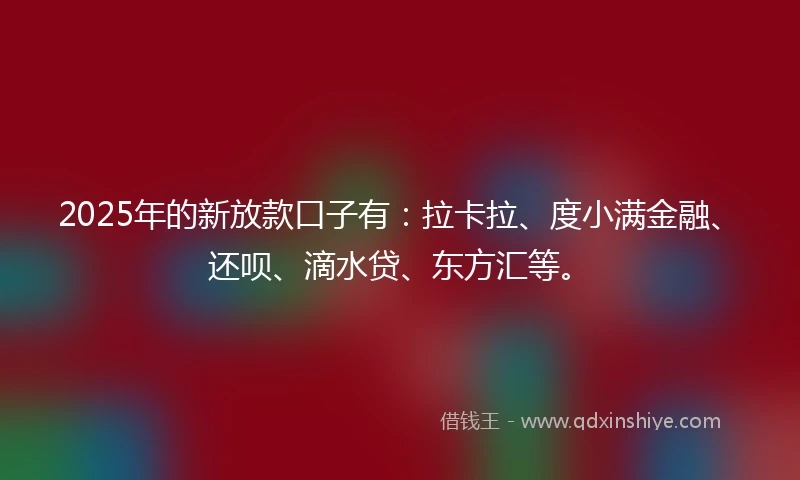 2025年的新放款口子有：拉卡拉、度小满金融、还呗、滴水贷、东方汇等。