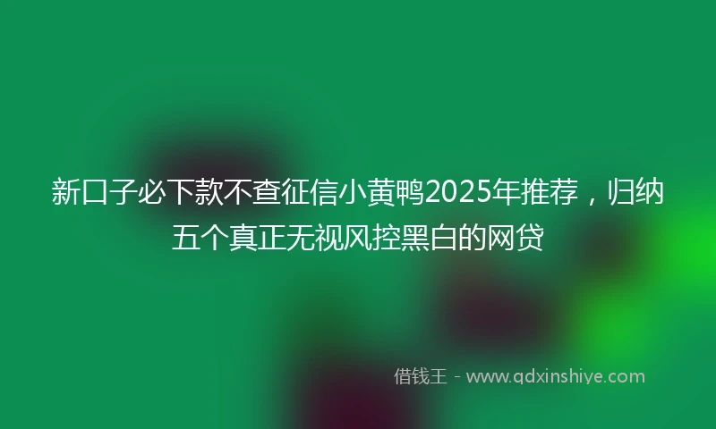 新口子必下款不查征信小黄鸭2025年推荐，归纳五个真正无视风控黑白的网贷