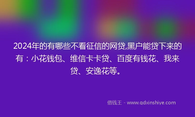 2024年的有哪些不看征信的网贷,黑户能贷下来的有：小花钱包、维信卡卡贷、百度有钱花、我来贷、安逸花等。