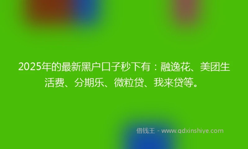 2025年的最新黑户口子秒下有：融逸花、美团生活费、分期乐、微粒贷、我来贷等。