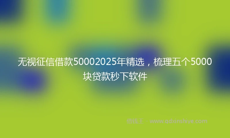 无视征信借款50002025年精选，梳理五个5000块贷款秒下软件