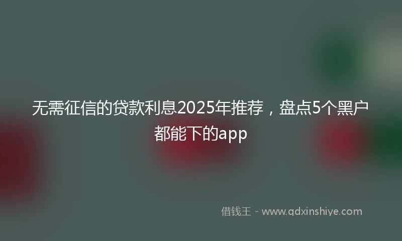 无需征信的贷款利息2025年推荐，盘点5个黑户都能下的app