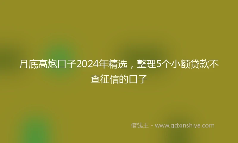 月底高炮口子2024年精选，整理5个小额贷款不查征信的口子