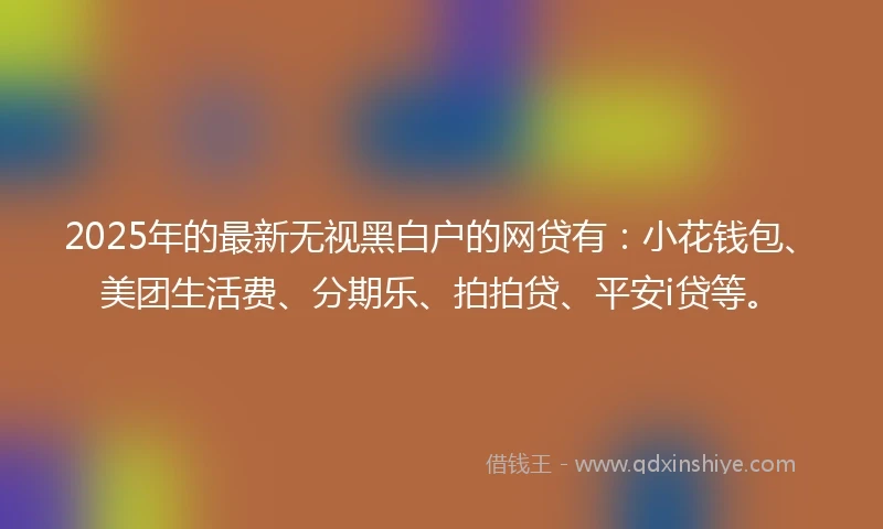 2025年的最新无视黑白户的网贷有：小花钱包、美团生活费、分期乐、拍拍贷、平安i贷等。