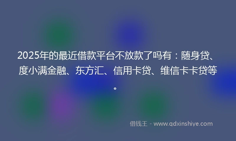 2025年的最近借款平台不放款了吗有：随身贷、度小满金融、东方汇、信用卡贷、维信卡卡贷等。