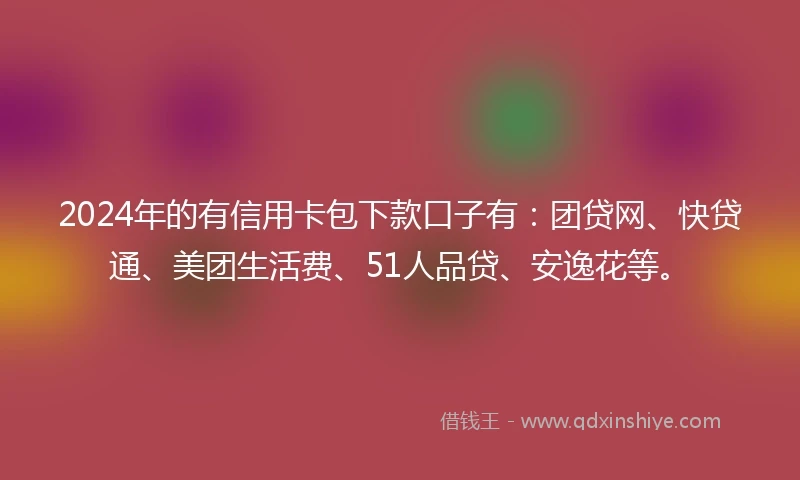 2024年的有信用卡包下款口子有：团贷网、快贷通、美团生活费、51人品贷、安逸花等。