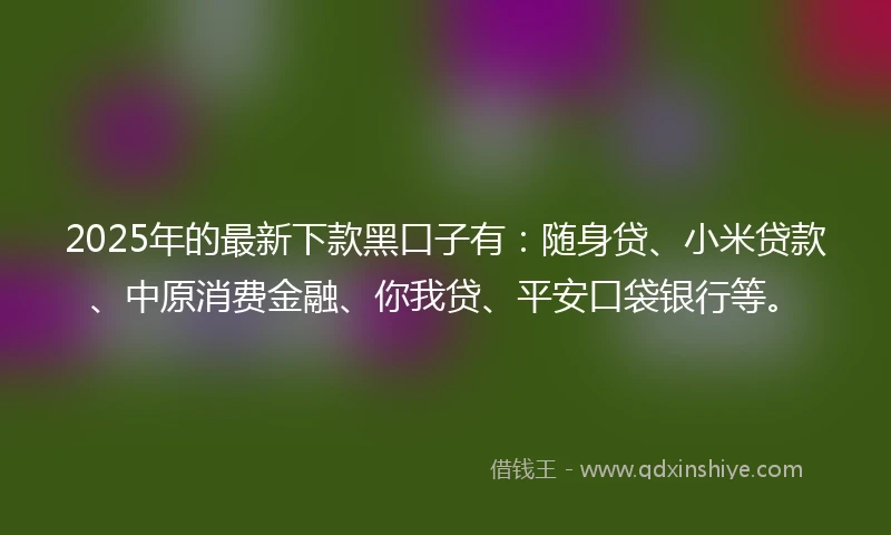 2025年的最新下款黑口子有：随身贷、小米贷款、中原消费金融、你我贷、平安口袋银行等。