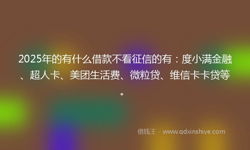 2025年的有什么借款不看征信的有：度小满金融、超人卡、美团生活费、微粒贷、维信卡卡贷等。