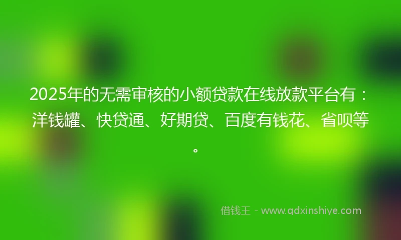 2025年的无需审核的小额贷款在线放款平台有：洋钱罐、快贷通、好期贷、百度有钱花、省呗等。