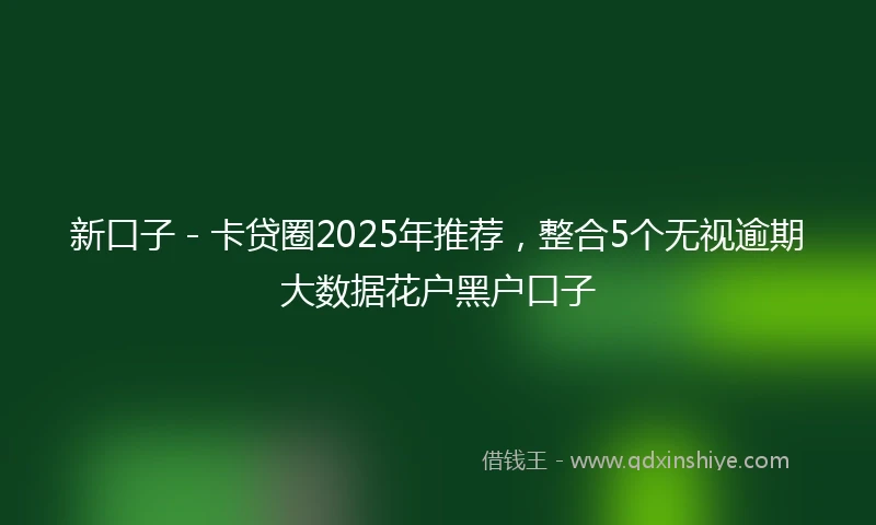 新口子 - 卡贷圈2025年推荐，整合5个无视逾期大数据花户黑户口子