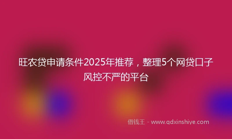 旺农贷申请条件2025年推荐，整理5个网贷口子风控不严的平台
