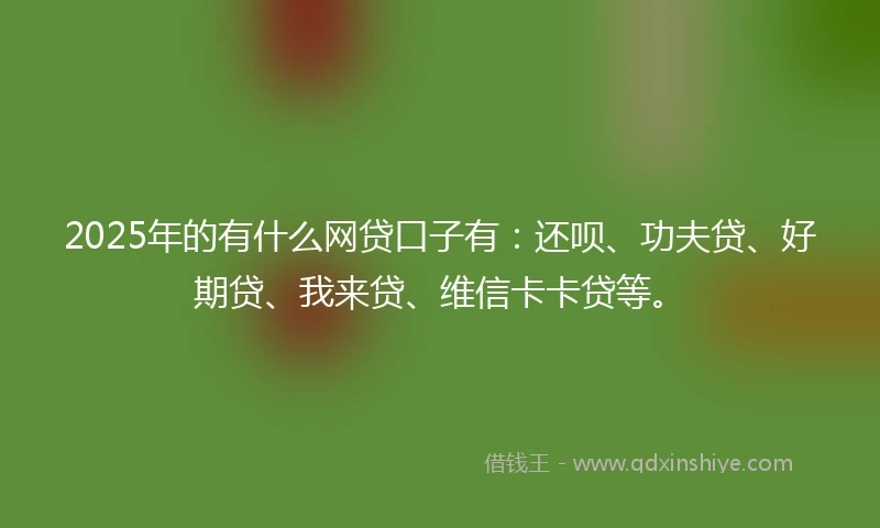2025年的有什么网贷口子有：还呗、功夫贷、好期贷、我来贷、维信卡卡贷等。