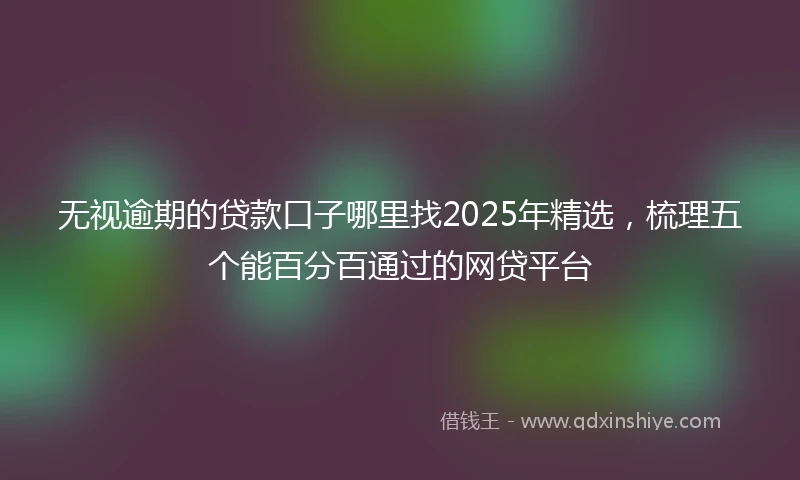 无视逾期的贷款口子哪里找2025年精选，梳理五个能百分百通过的网贷平台