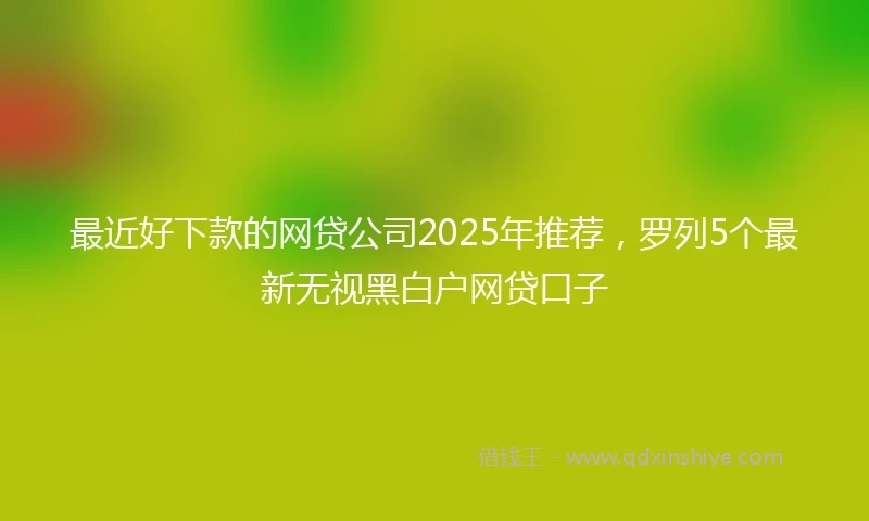 最近好下款的网贷公司2025年推荐，罗列5个最新无视黑白户网贷口子