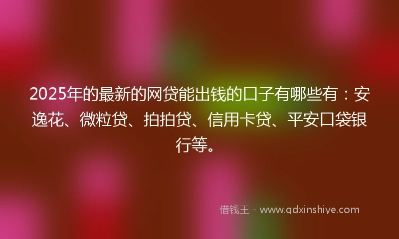 2025年的最新的网贷能出钱的口子有哪些有：安逸花、微粒贷、拍拍贷、信用卡贷、平安口袋银行等。