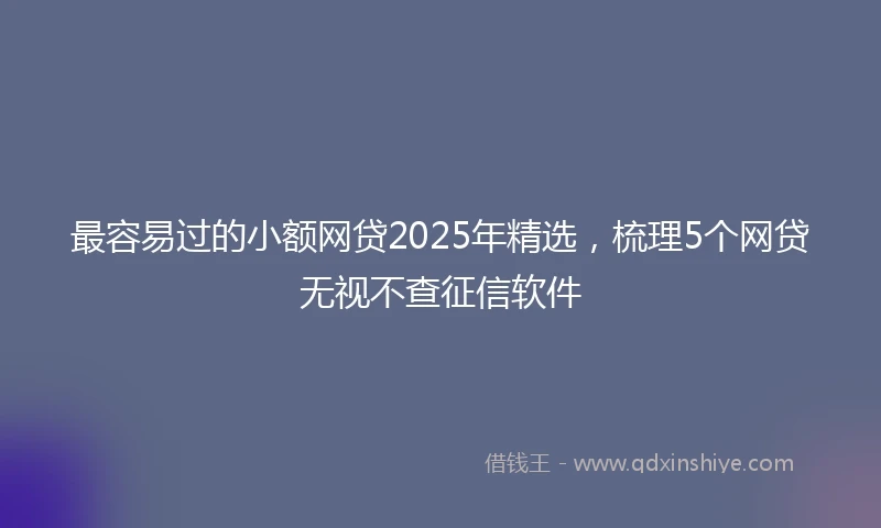 最容易过的小额网贷2025年精选，梳理5个网贷无视不查征信软件