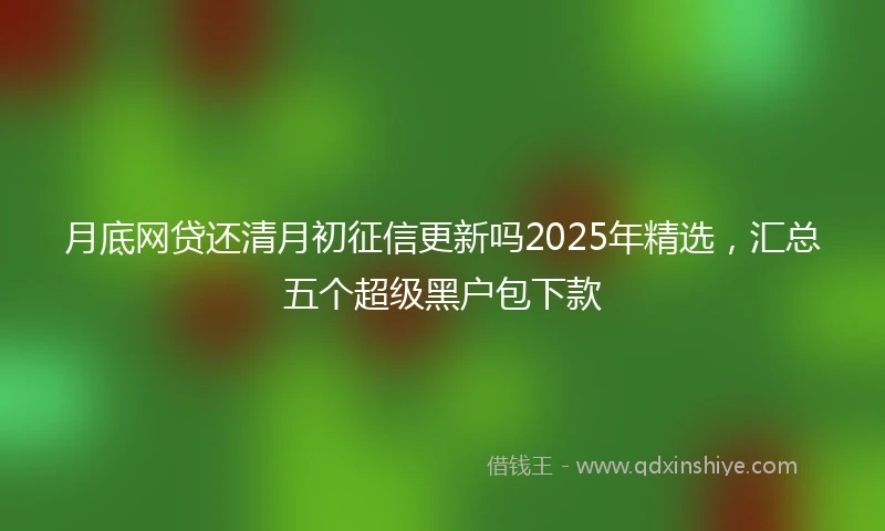 月底网贷还清月初征信更新吗2025年精选，汇总五个超级黑户包下款
