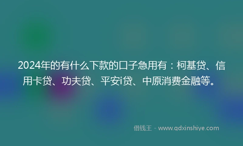 2024年的有什么下款的口子急用有：柯基贷、信用卡贷、功夫贷、平安i贷、中原消费金融等。