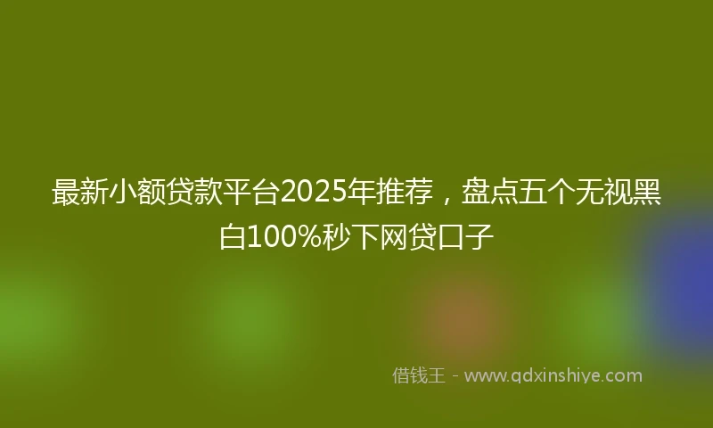 最新小额贷款平台2025年推荐，盘点五个无视黑白100%秒下网贷口子
