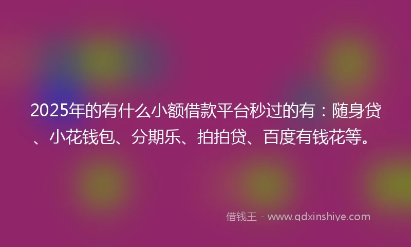 2025年的有什么小额借款平台秒过的有：随身贷、小花钱包、分期乐、拍拍贷、百度有钱花等。