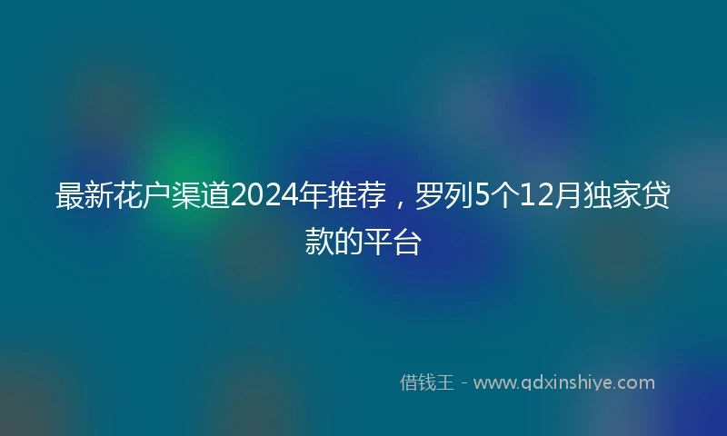 最新花户渠道2024年推荐，罗列5个12月独家贷款的平台