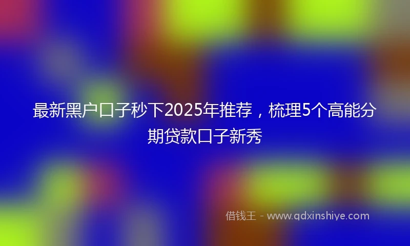 最新黑户口子秒下2025年推荐，梳理5个高能分期贷款口子新秀