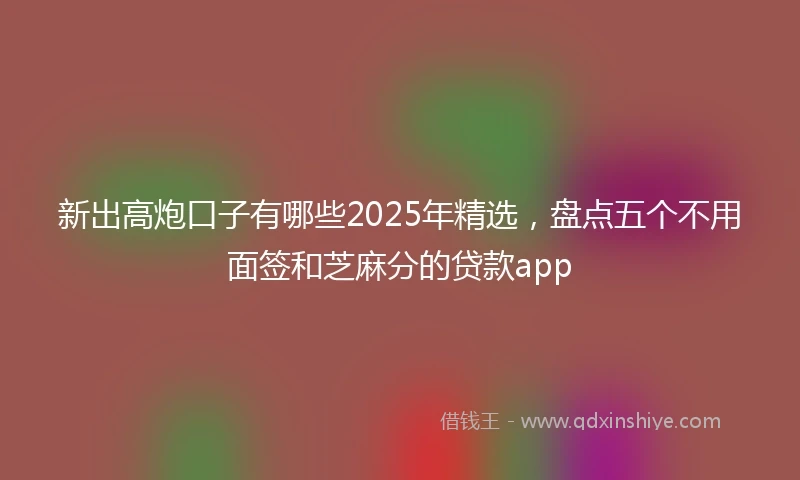 新出高炮口子有哪些2025年精选，盘点五个不用面签和芝麻分的贷款app