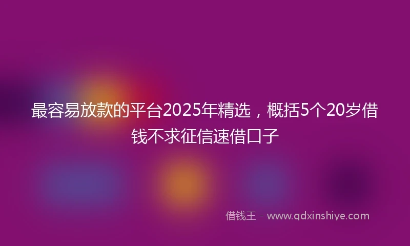 最容易放款的平台2025年精选，概括5个20岁借钱不求征信速借口子