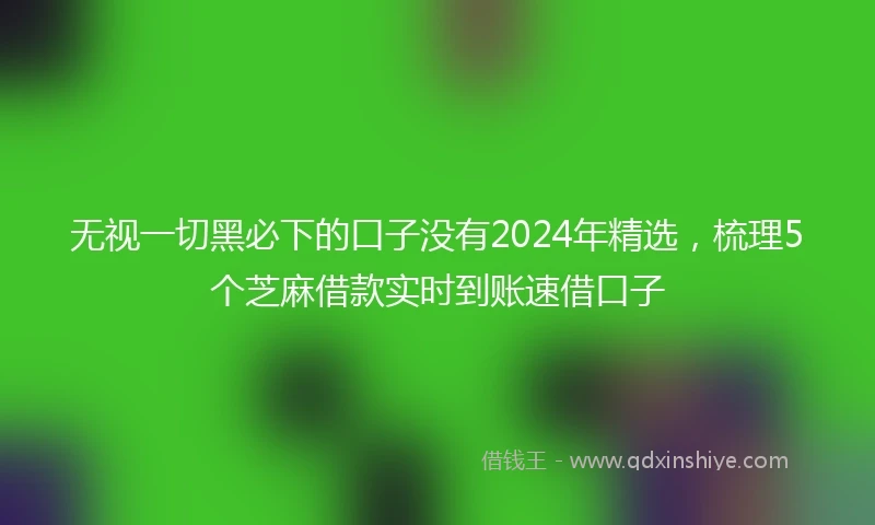 无视一切黑必下的口子没有2024年精选，梳理5个芝麻借款实时到账速借口子